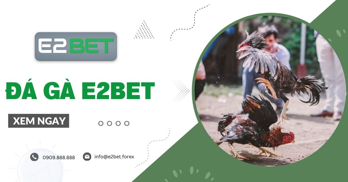 Đá gà E2BET